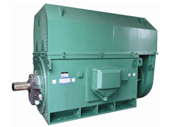 YRKK5003-8/450KWY系列6KV高压电机