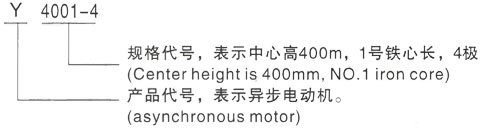 西安泰富西玛Y系列(H355-1000)高压YRKK5003-8/450KW三相异步电机型号说明